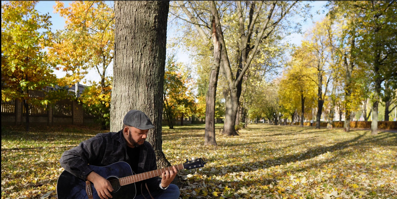 Autumn acoustic guitar performance